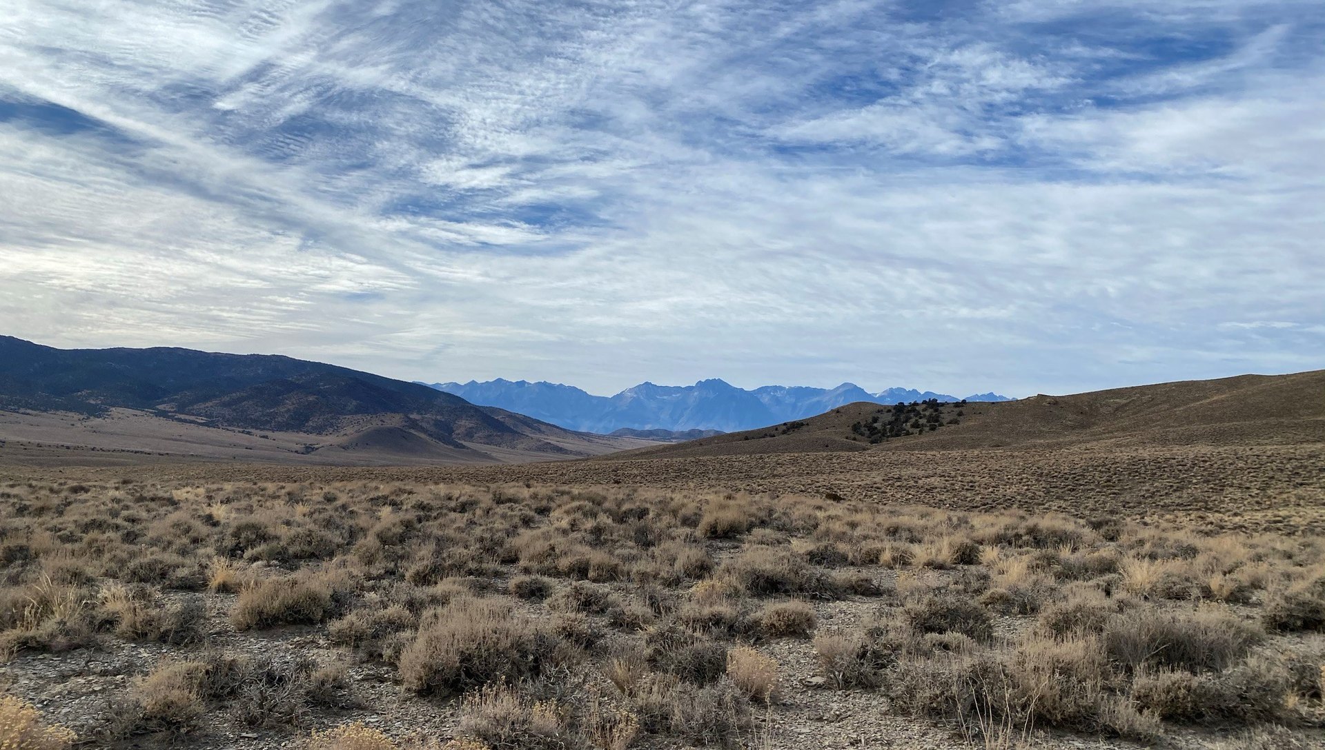 Sagebrush covering the Northern Nevada high desert with the Sierra Nevada range in the distance